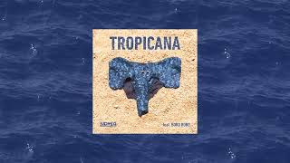 Ludwig feat. Boro Boro - Tropicana (Official AUDIO)