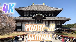 4K- Todai-ji Temple Virtual Walking Tour