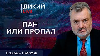 В каждом селе свои дураки. Пламен Пасков. Дикий LIVE.