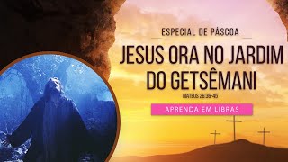 Jesus ora no Getsêmani (Mateus 26:36-45)