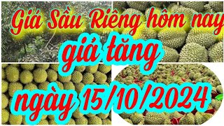 giá sầu riêng hôm nay ngày 15/10/2024