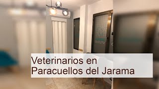 Clínicas Veterinarias en Paracuellos del Jarama (Madrid) ¡Las mejores!