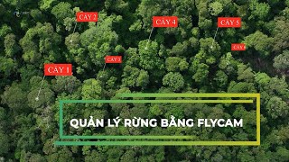 QUẢN LÝ RỪNG BẰNG FLYCAM | FOREST MANAGEMENT USING FLYCAM | | VIET FLYCAM