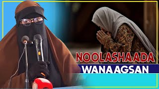 NOOLASHA WANAAGSAN MAXAA LAGU HELAAA ? || Sh Ikraan Cali Nuur