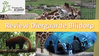 SPELENDE OLIFANTEN!!! | Review Diergaarde Blijdorp 2020