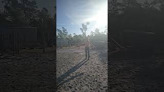 Slowing time down- Florida Cracker Whip