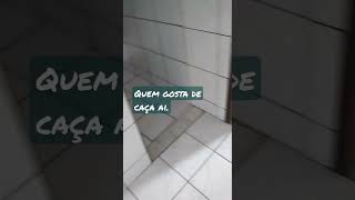 coisa boa aí pra gente.