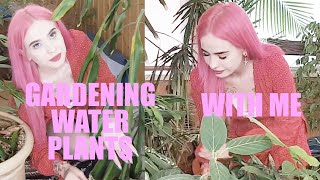 GARDENING | Taking care of my beautiful garden