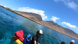 Maui Kayak & Snorkeling Tours