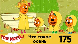 Три кота | Серия 175 | Что такое осень | Мультфильмы для детей