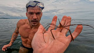 ENCONTREI O ANIMAL MAIS ATERRORIZANTE DOS MARES