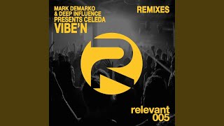 Vibe'N (Mike Ivy Remix)