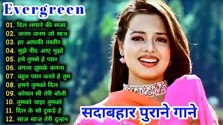 Hindi_Sad_Songs_-_प्यार_में_बेवफाई_का_सबसे_दर्द_भरा_गीत_|_हिन्दी_दर्द_भरे_गीत_|_90s_Evergreen_Songs