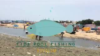 Tide Pool Fishing | Kovalam Beach (Covelong) Chennai | Fishing In Tamilnadu | Fishing In India