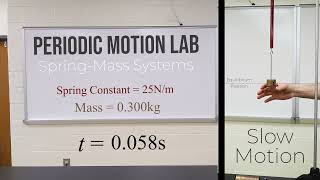 Periodic Motion Lab (Spring Mass Systems) Spring #2