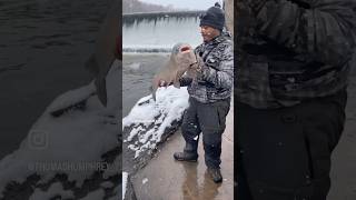 Was fishing for saugeye but this fight was fun #fishing #riverfishing #winterfishing #fish