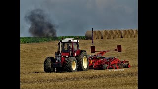 IHC 1056XL mit 5m Scheibenegge im Einsatz