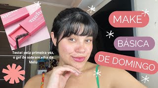 MAKE SUPER BÁSICA DE DOMINGO/ testei pela primeira vez o gel de sobrancelhas da Melu