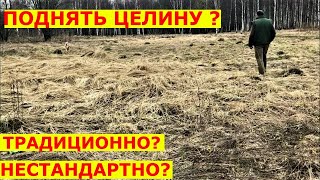 Делаем из ЦЕЛИНЫ газон эффективно для ленивых