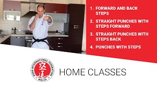 Kudo Home Class 1 - Steps and straight punches exercises