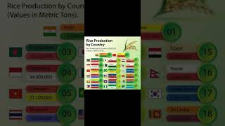 Rice production by country#india#world#rice#economy#agriculture