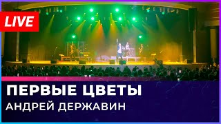 Юбилейный Тур Андрея Державина "Первые цветы" live Казань 12.10.23