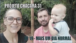 Chácara do Zero - Ep. 19 - Um dia normal na chácara