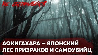 Японский лес самоубийц | Страшные истории | Мистика | НЕ ОБОРАЧИВАЙСЯ