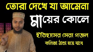 তোরা দেখে যা আমেনা মায়ের কোলে কলিজা শীতল করা গজল 9th October 2022