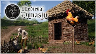 Where To Find & Buy Chickens For Your Chicken Coop | Medieval Dynasty Co-Op | Part 13