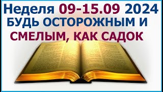 Неделя 9-15 сентября 2024 г.: о смелости и осторожности. Свидетели Иеговы