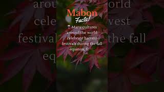 Mabon Facts! #lightwarriorslegion #mabon #paganism