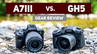 comparaison Sony a7iii vs Panasonic Lumix gh5 مقارنة