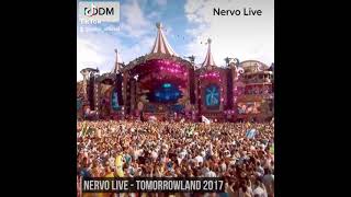 Nervo Live at Tommorowland #nervo #tommorowland #festival #edm #nervous #edmdrops #shorts