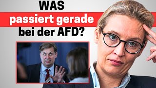 Skandal: AfD-Spitzenkandidat unter Spionageverdacht (aufgedeckt)