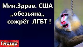 Мин Здрав  США ,,Обезьяна,, угрожает ЛГБТ ! Банки перестают давать нал ! Климат оружие съел МЧС !