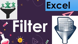 How to use Filter option in excel - in Hindi