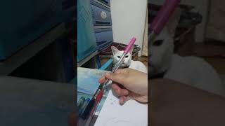 Cat and ballpen