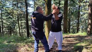 Southern Shaolin Hung Gar and 18 Luohan Combat Application