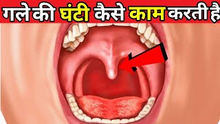 देखिए कैसे काम करती है गले की घंटी | TSS MEDICAL SERIES EP-11 / The Science System