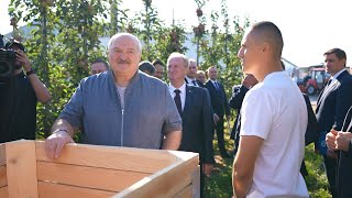 Лукашенко: Должен вам ОТКРЫТО заявить! Мы договорились с украинцами! / Неделя Президента. Главное