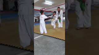 taekwondo kick #taekwondo #taekwondokicks #beladiri #shorts #tendangan