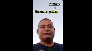 Бате Бойко и Златната рибка #shorts