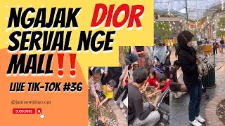 AJAK DIOR SI SERVAL SUPER MANJA NGE MALL‼️ #serval #kitten #kucingsultan