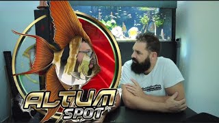 FISHROOM do Luís, CRIADOR de ALTUM em Portugal, POUCOS NO MUNDO 🌎 CONSEGUIU CRIAR ESTE PEIXE #altum