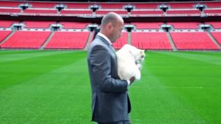 Alan Shearer introduces the JJB Sports/Umbro 'play at Wembley' prize draw