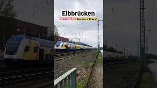 Elbbrücken : RE3 ➡️ Hamb. Hbf [Dosto's + Traxx1] #shorts