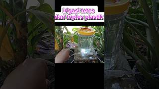 Irigasi tetes dari toples plastik #gardenideas #kreatif