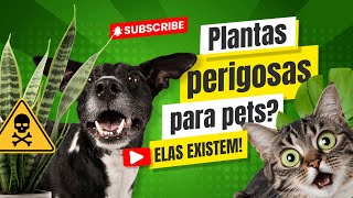 Evite acidentes com seu pet: Plantas Tóxicas e como proteger seus animais