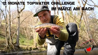 12 Monate Topwater Challenge - Im März am Bach